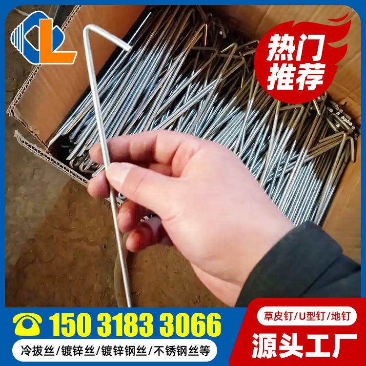 表面帶紋草坪釘 地釘直釘 草坪釘規格 土工格柵釘子