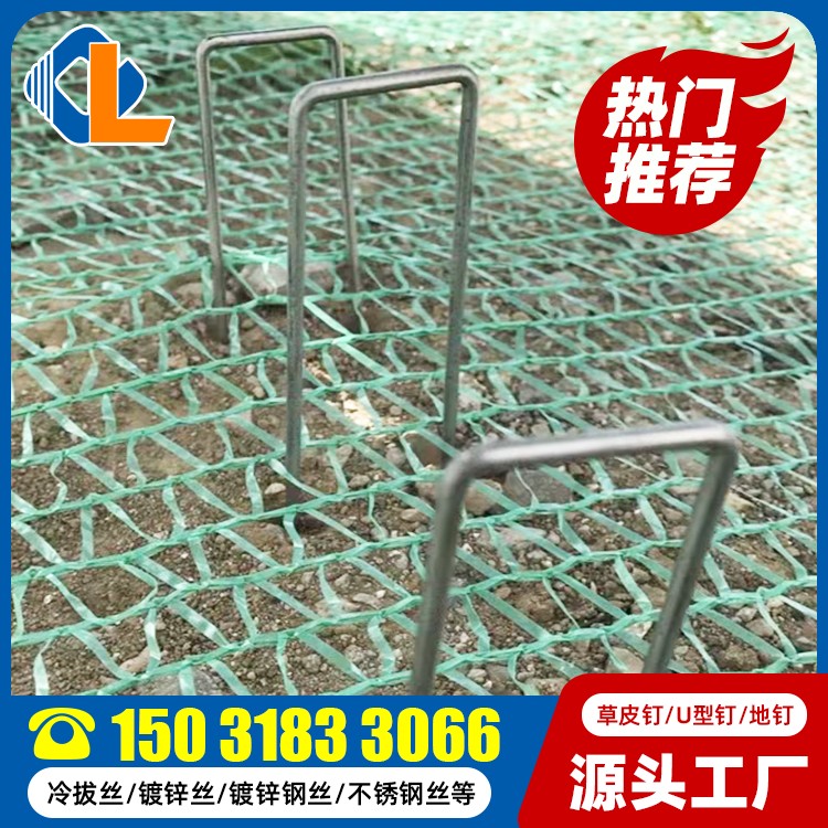 土工格柵草皮釘尺寸 U型錨釘價格 草坪釘廠家 地釘規格
